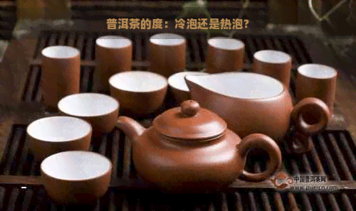 普洱茶的度：冷泡还是热泡？
