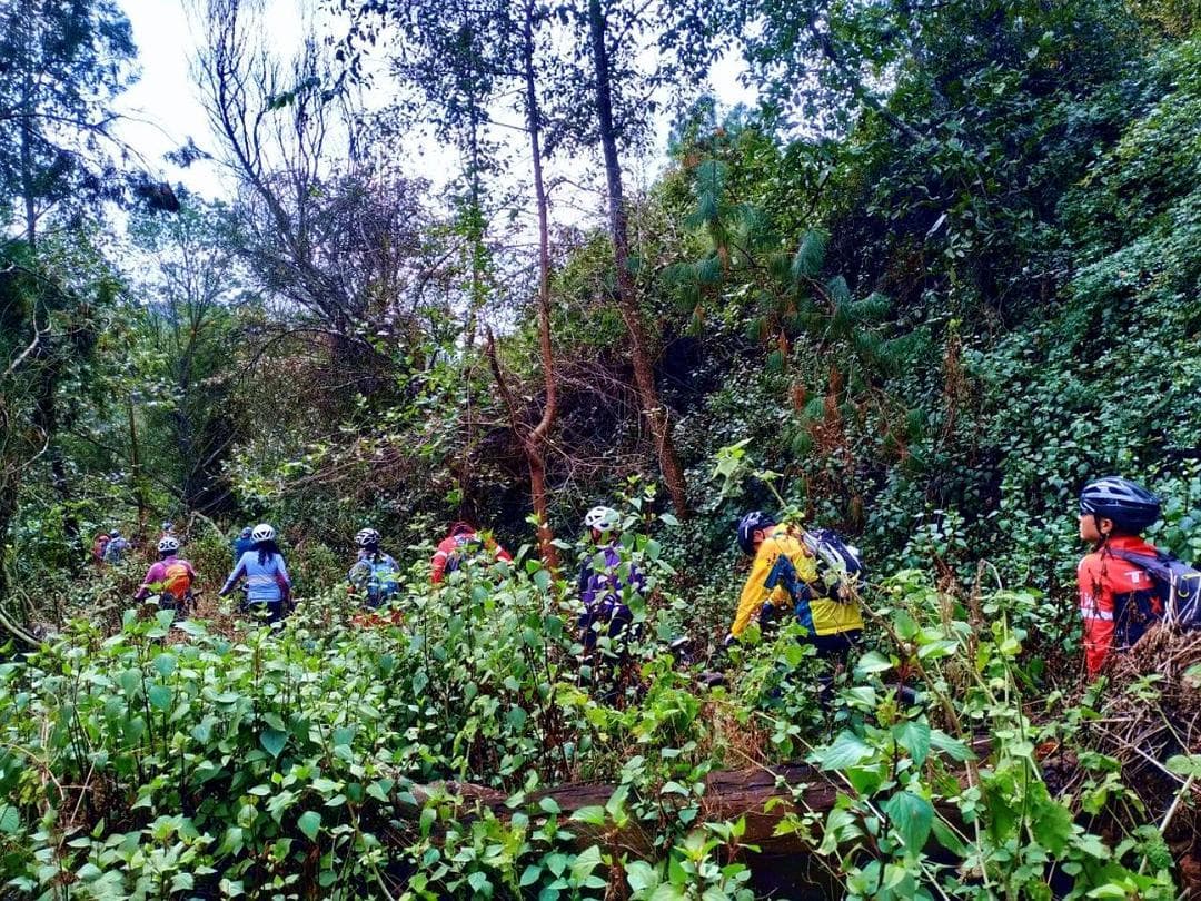 骑行达人揭秘：如何掌握节奏，合理分配体力？