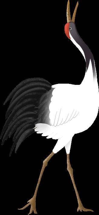 【科普】中医过大年|春节中医养生：从饮食到起居，让你健康过大年