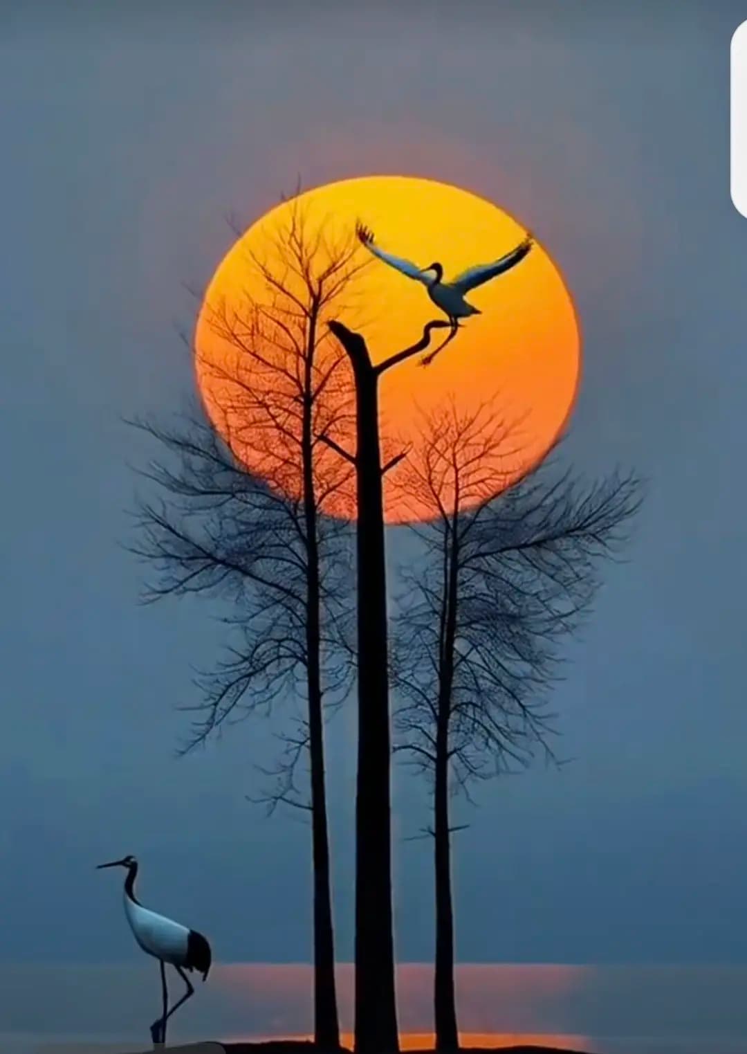 快乐的产生机制与根源