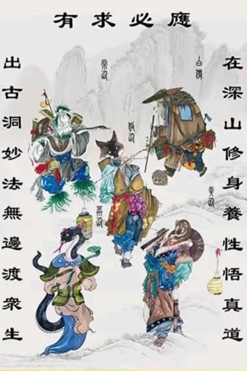巫族和人族区别：上古巫族等级制度与人族的对比