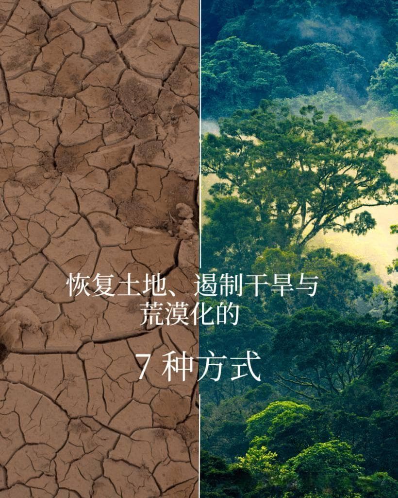 恢复土地、遏制干旱与荒漠化的7种方式 | 联合国环境规划署发布