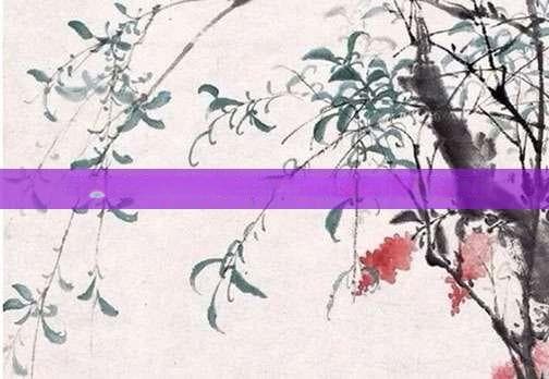 千岛湖一日游攻略，体验水上仙境，探寻绿色宝藏