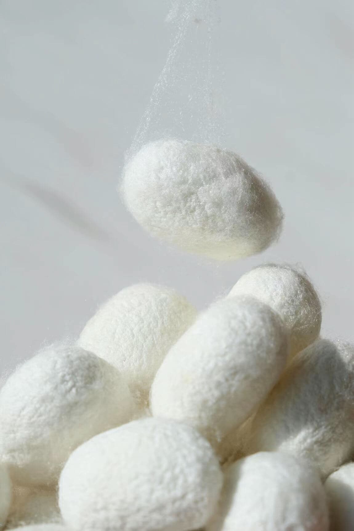 国风带动新热潮 一根蚕丝的故事未完待续