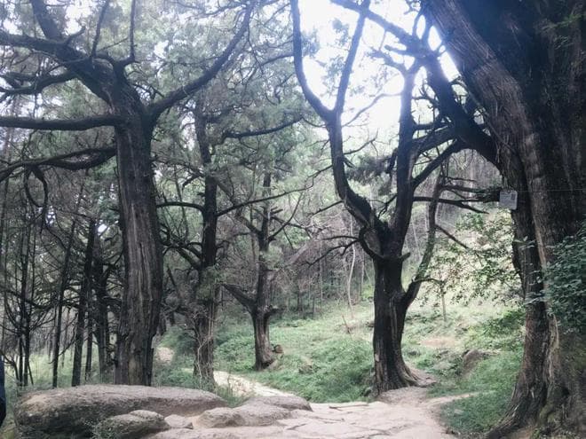 漫步古蜀道，一日短途游