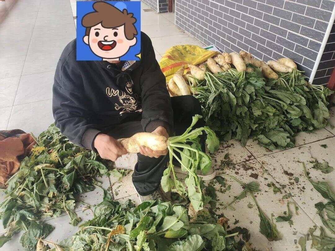 社工理论在心智障碍者托养中的应用，以先天唐氏综合征心智障碍者服务为例