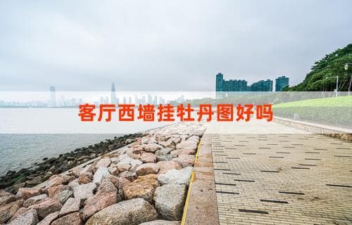 客厅西墙挂牡丹图好吗？探究牡丹图在客厅的悬挂效果与风水讲究