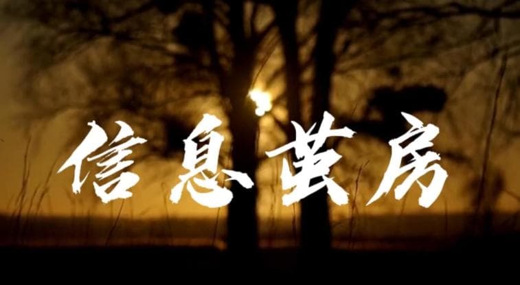 打破信息茧房：从认知局限到视野拓展