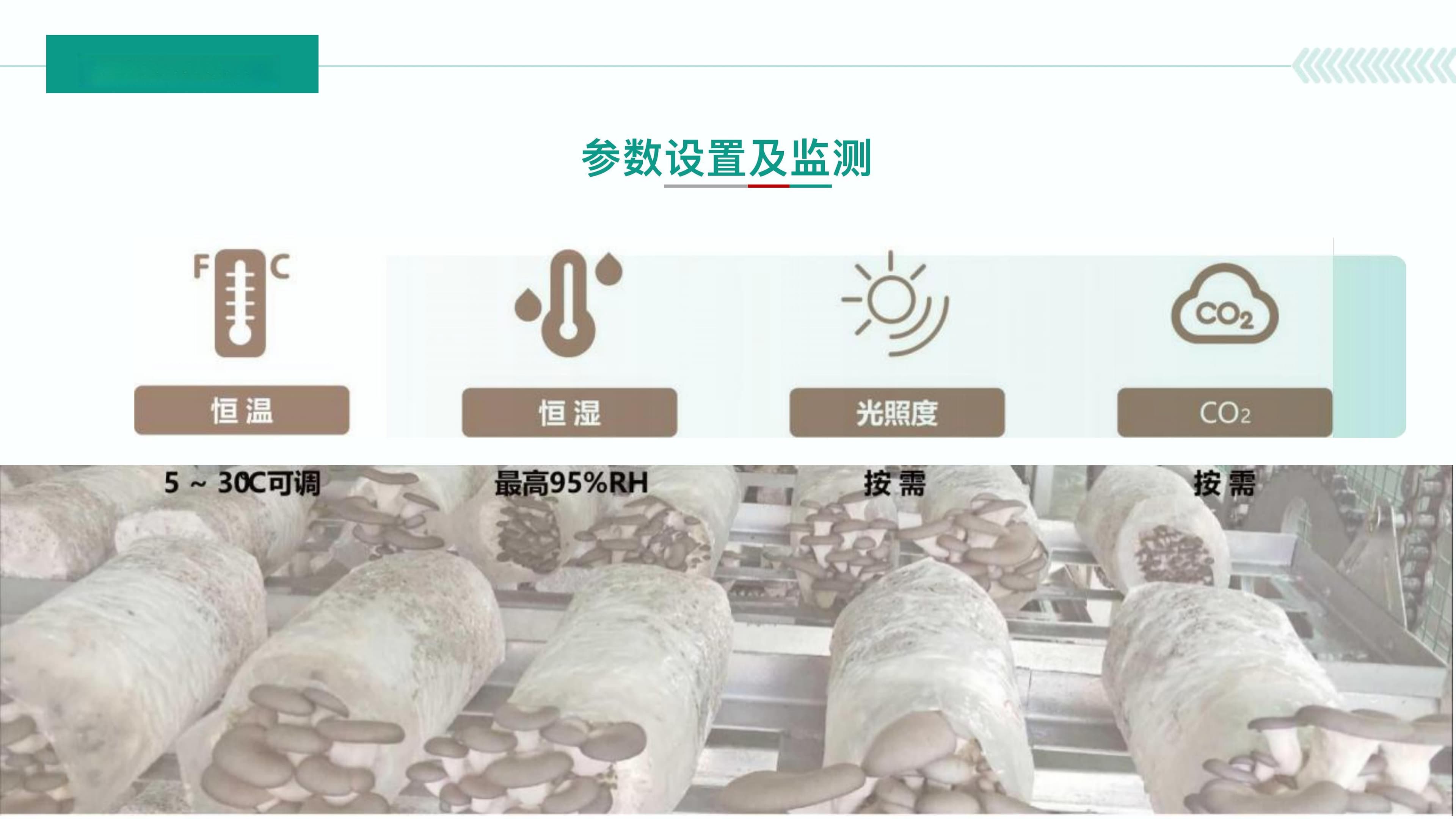 智慧菌菇方舱循环生态产业：科技赋能现代农业的新模式