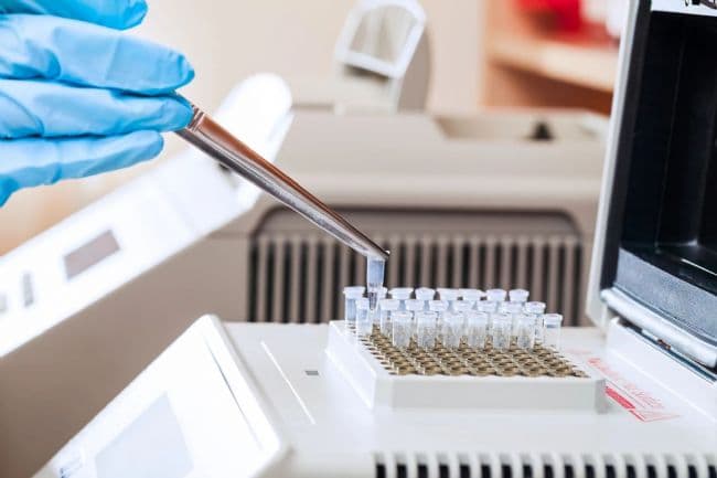 小鼠实验中PCR、qPCR、RT-PCR、RT-qPCR技术的介绍与应用