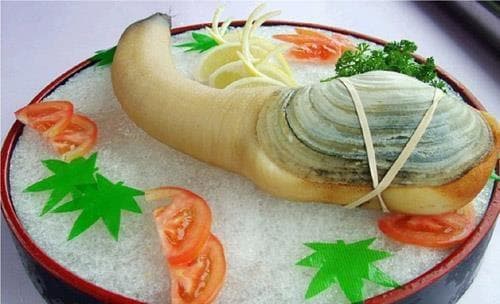象拔蚌的营养价值与烹饪方法