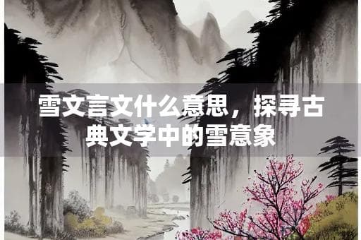 雪文言文什么意思，探寻古典文学中的雪意象