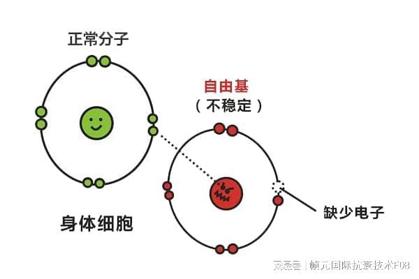 深度剖析抗衰技术：认识自由基的奥秘(一)