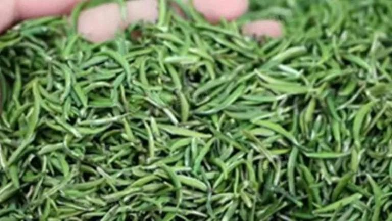 肝不好喝什么茶最好