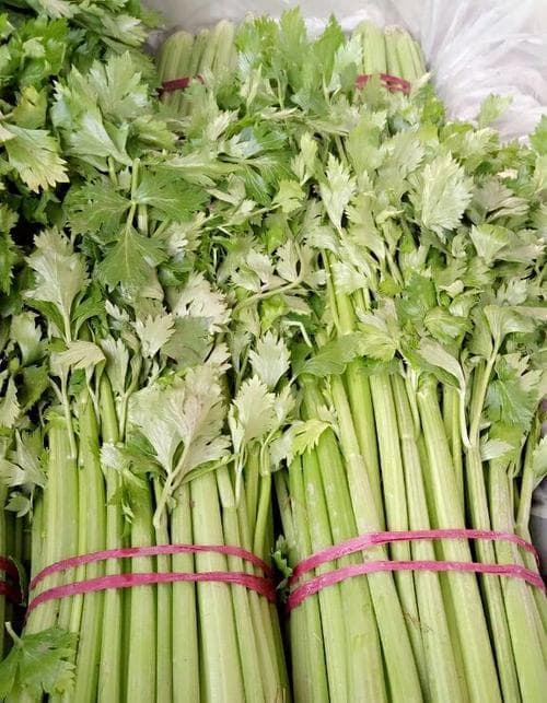 芹菜上市季节及成熟时间（了解芹菜的生长周期与采摘时间，选购更放心）
