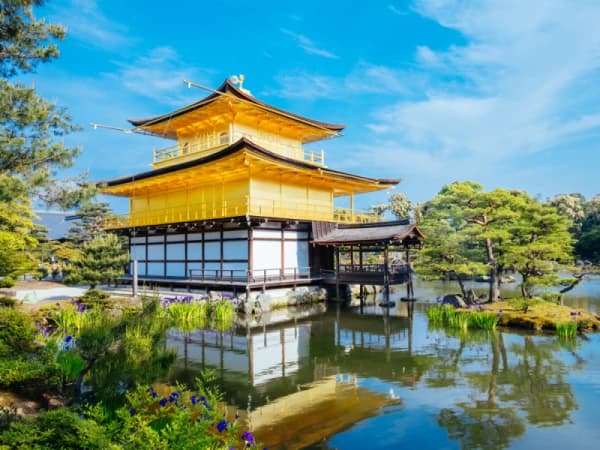 日本神社巡礼指南：探索信仰与文化的绝美旅程