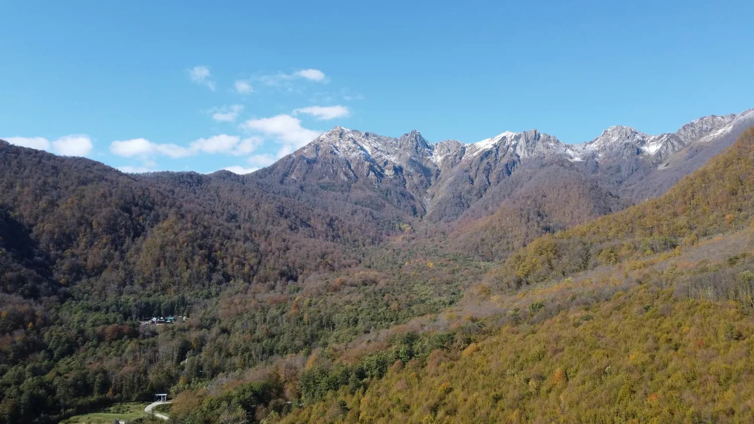 高野山&熊野古道：和歌山必打卡圣地
