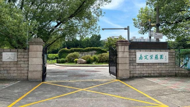 上海嘉定紫藤园：中日友谊见证下的紫色浪漫