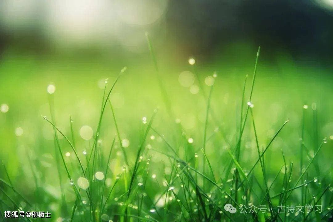 三首意境优美的早春诗词，写尽了春天的无限风光