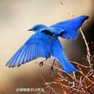 沈阳黎明航空发动机集团：福利待遇、工作环境全解析