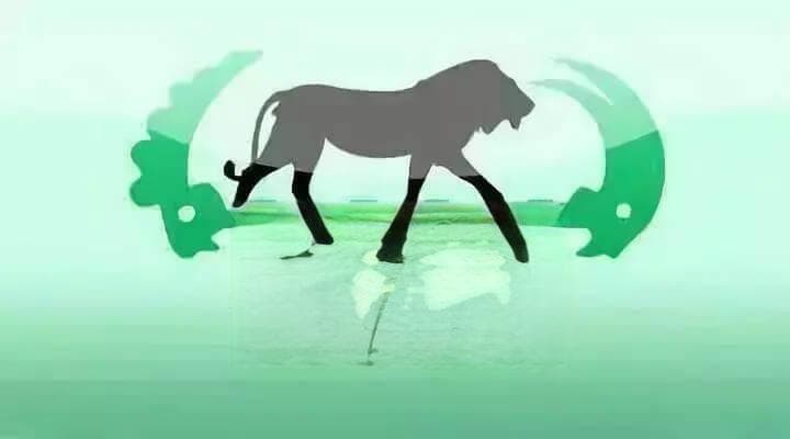 电商平台兽药乱象：假药横行、疗效堪忧，养殖户如何避坑？