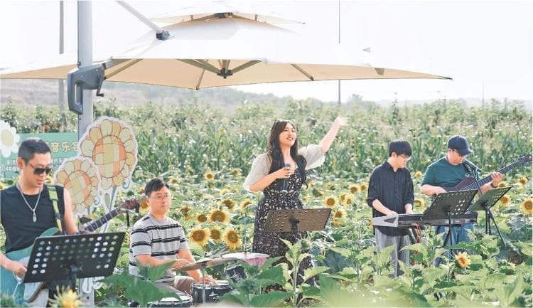 喝咖啡、逛非遗、游农场……烟台“潮村”长这样