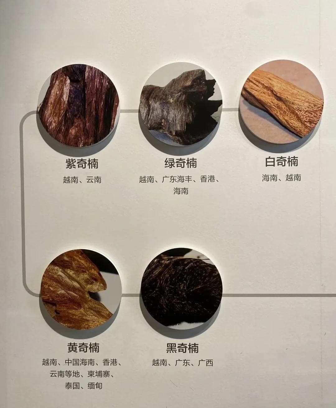 沉香怎么鉴别真假最有效（沉香新手必看！）