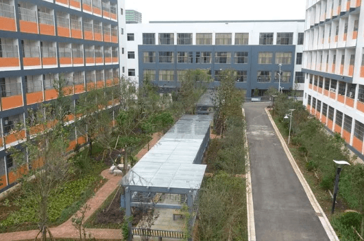 云南省综合高中：普高生与职高生融合管理新模式