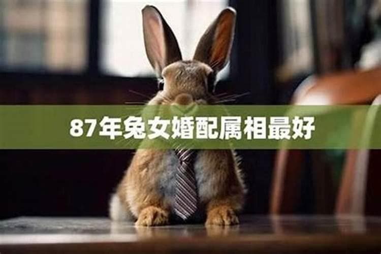 属兔女生肖和什么生肖配好？