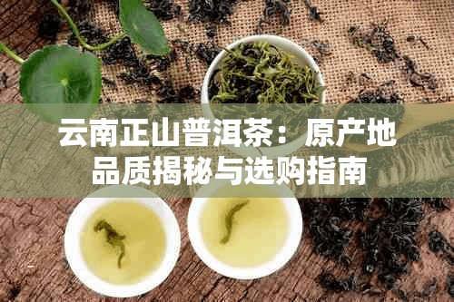 云南正山普洱茶：原产地品质揭秘与选购指南