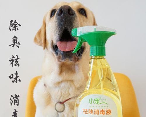 狗狗频繁定点撒尿怎么办？原因分析与解决方案全攻略