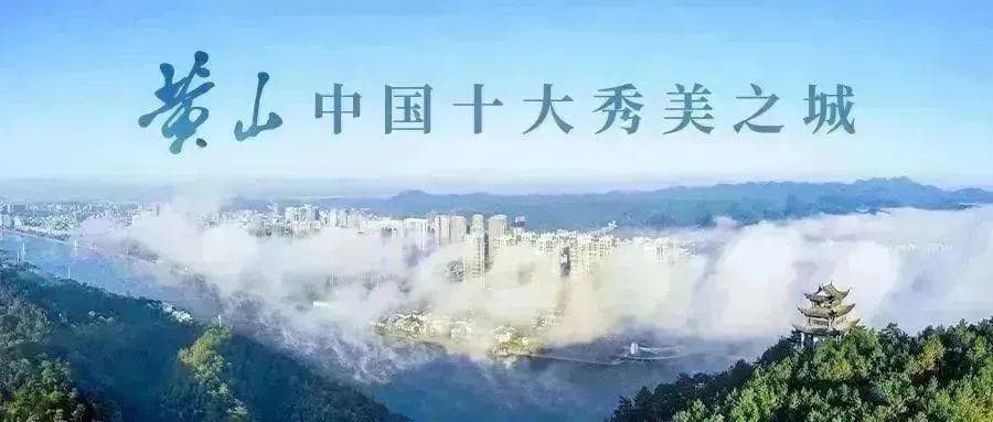 【黄山茶上新记】新茶道：一份绵延万里的荣光