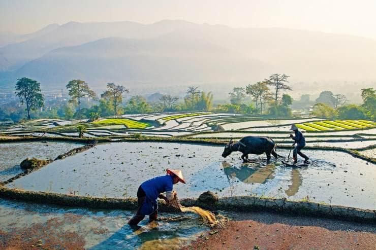 云南 神奇的民族垂直分布