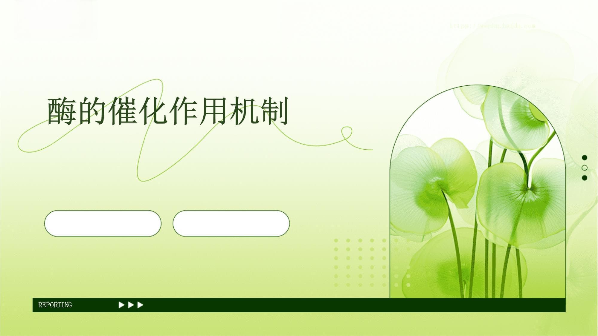 酶的催化作用机制