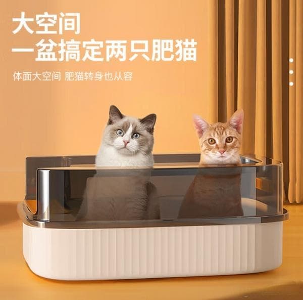 打造猫咪的温馨小窝：清洁与舒适并重！