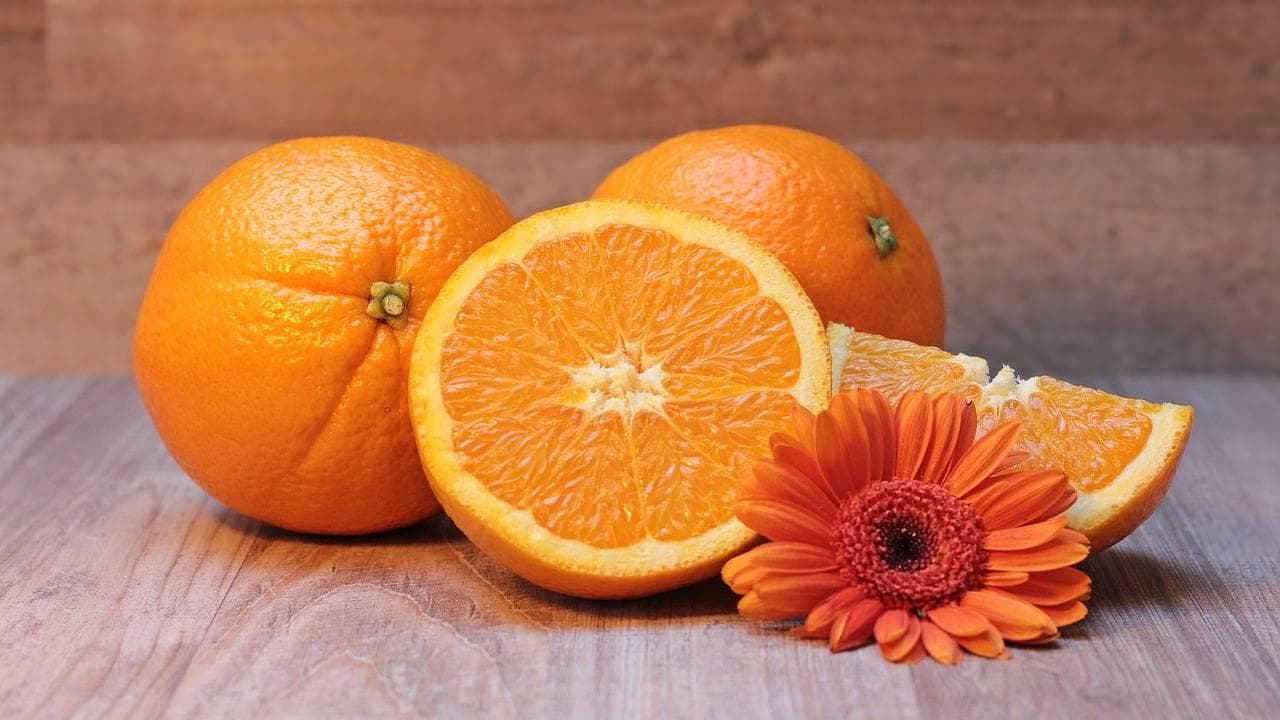 哪些食物可以喂豚鼠呢？