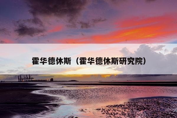 霍华德·休斯：从航空先驱到电影大亨的传奇人生