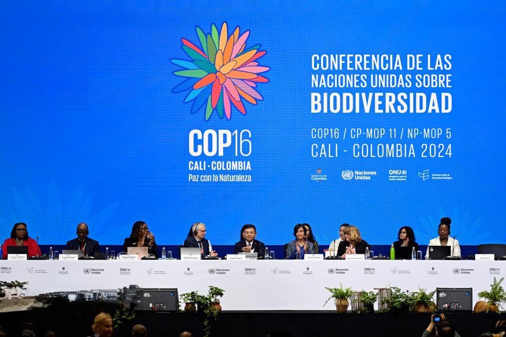 从COP16看全球生物多样性保护面临的挑战和机遇
