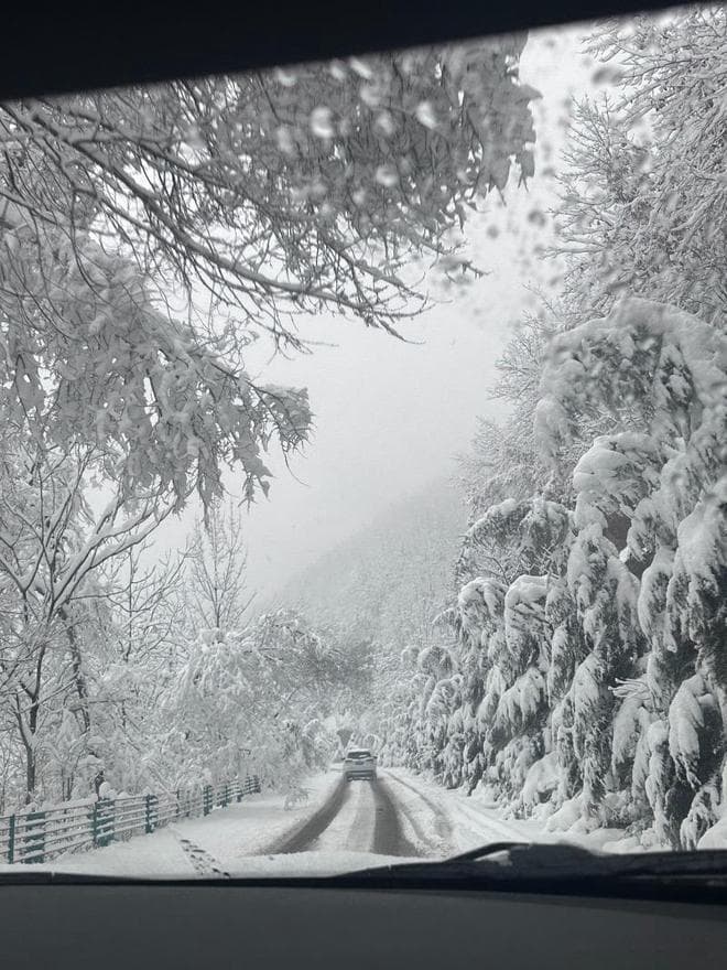 自驾返乡遇暴雪怎么办？这份安全指南请收好