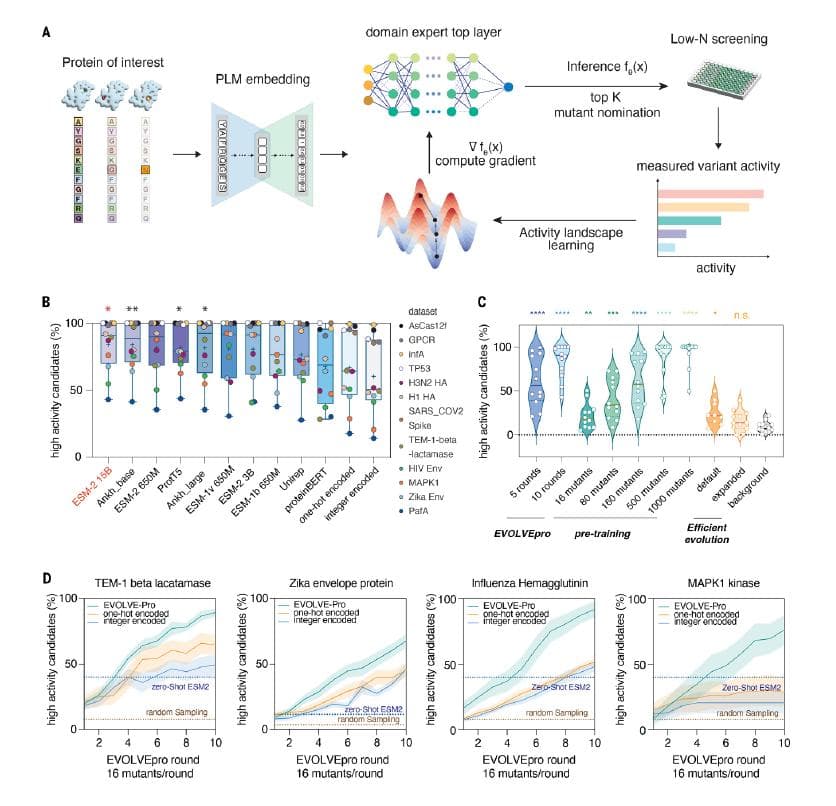 Science重磅：AI完成定向蛋白质进化，特性提升100倍