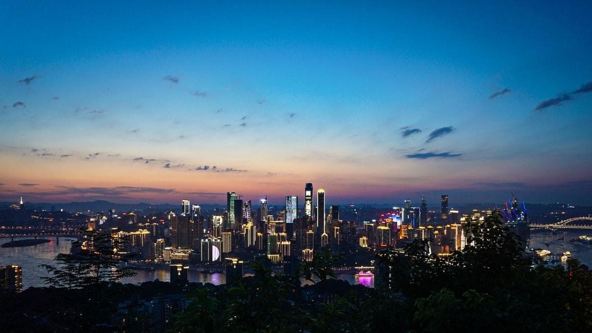 供应链服务系统概览：关键组成部分与功能