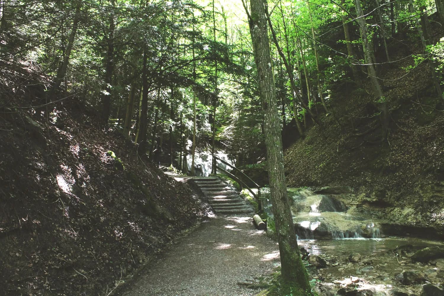 中条山国家森林公园：山西必打卡景点