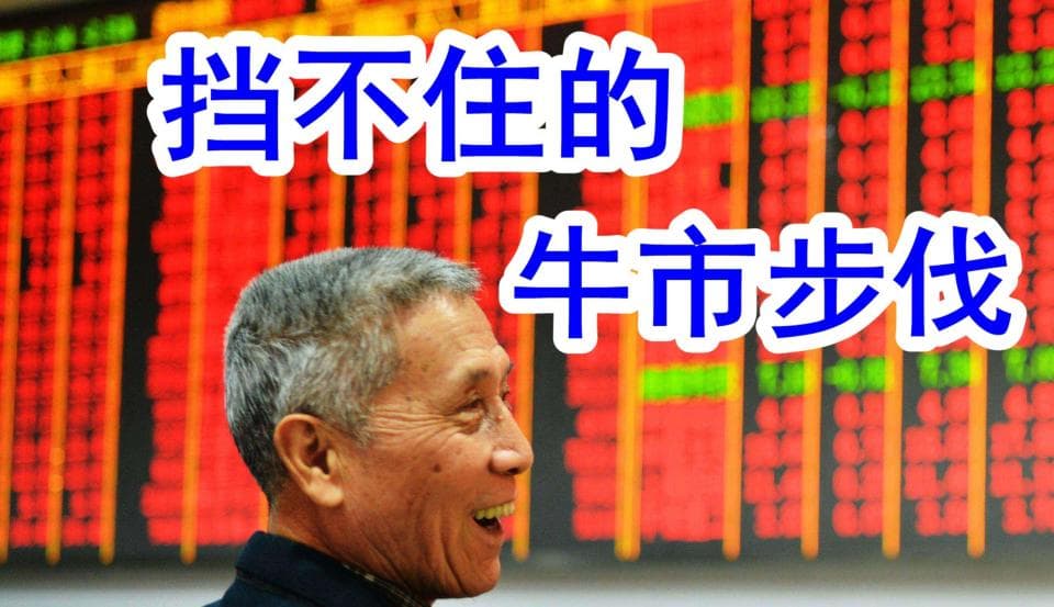 谁来决定股市的慢牛快牛与疯牛？