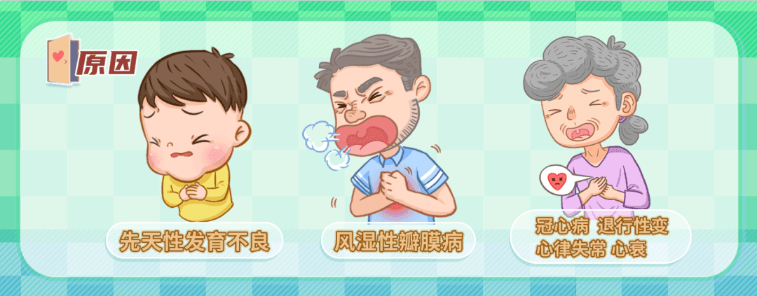 导致二尖瓣关闭不全的原因有哪些？