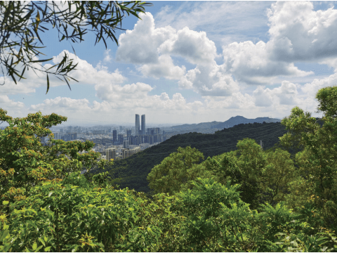 梅林山郊野径梅蝶线：深圳都市中的自然秘境