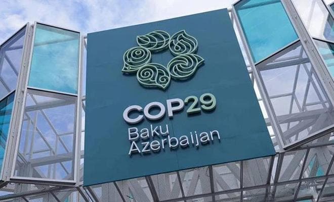 COP29：全球气候行动的新篇章与未来展望
