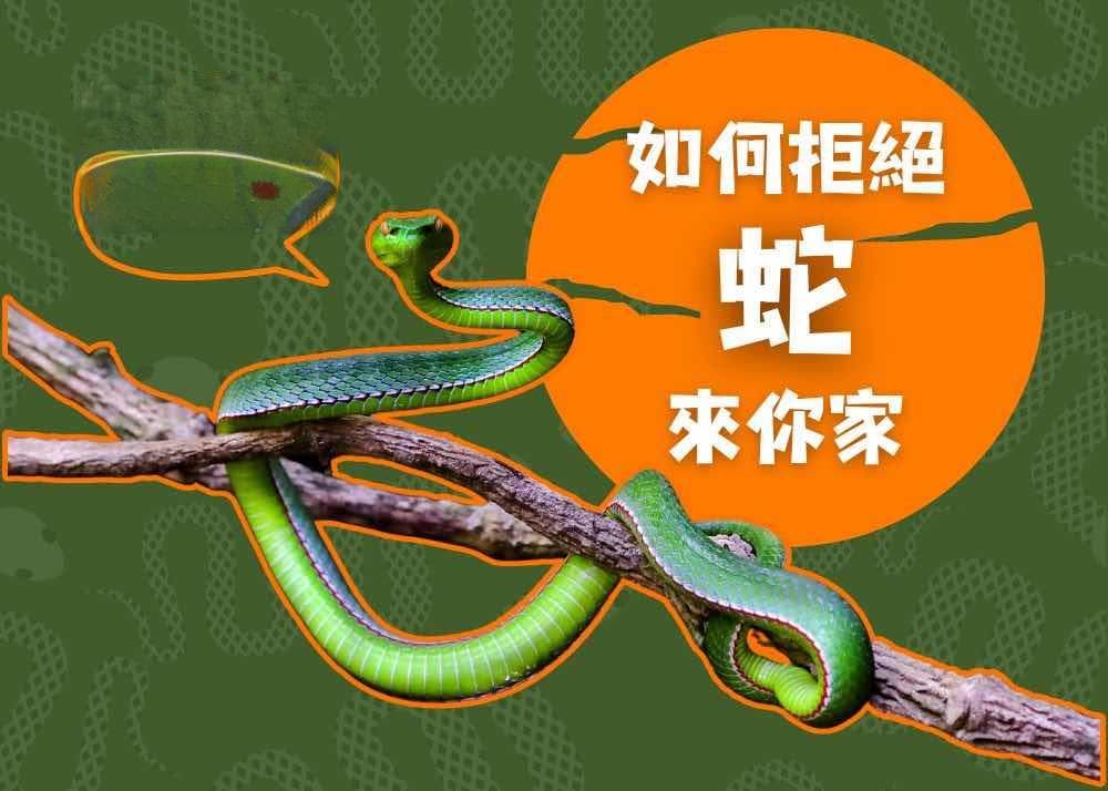澳洲留学移民必读：夏季如何避免蛇类入侵？