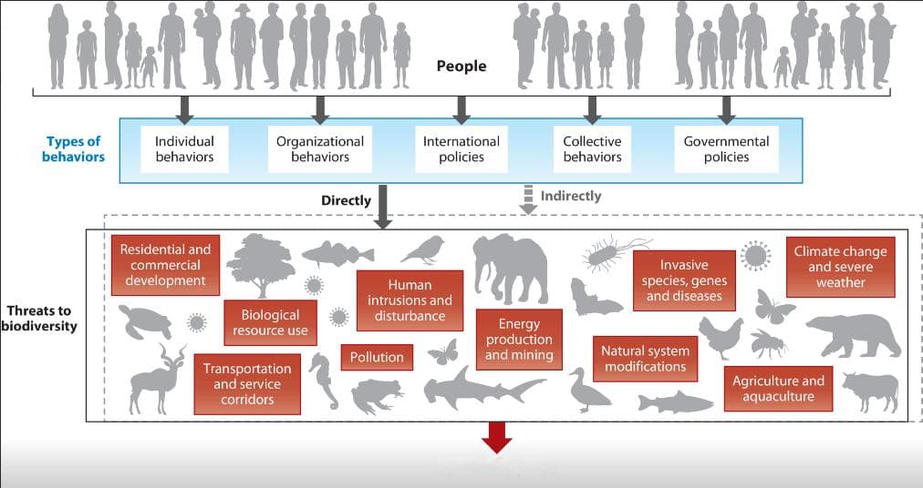 新研究：保护生物多样性首先要说服人类！