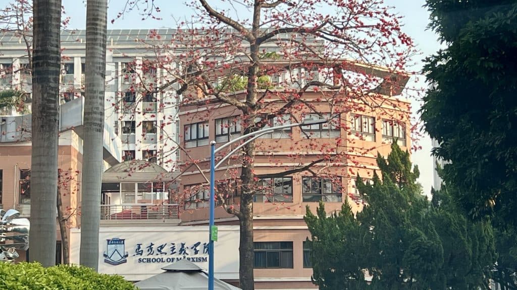 作为社会学习的提示与响应