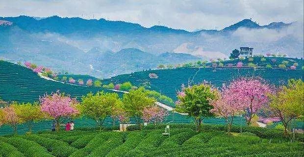 永福旅游攻略：广西桂林南部的宁静小镇